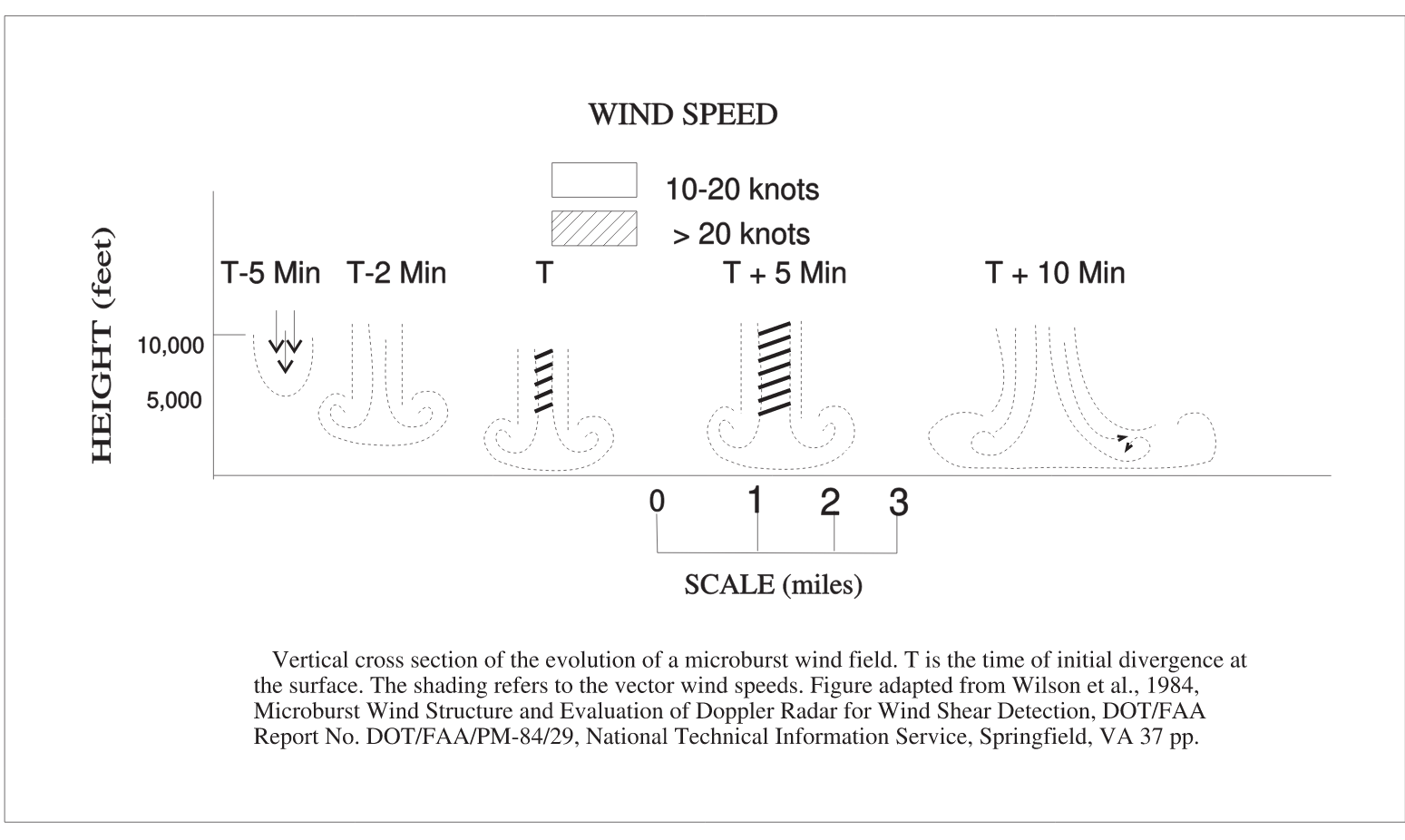 Evolution of a Microburst